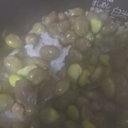 豆ごはんを炊く